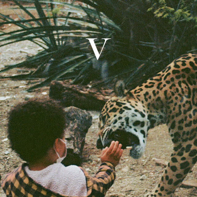 Unknown Mortal Orchestra – V