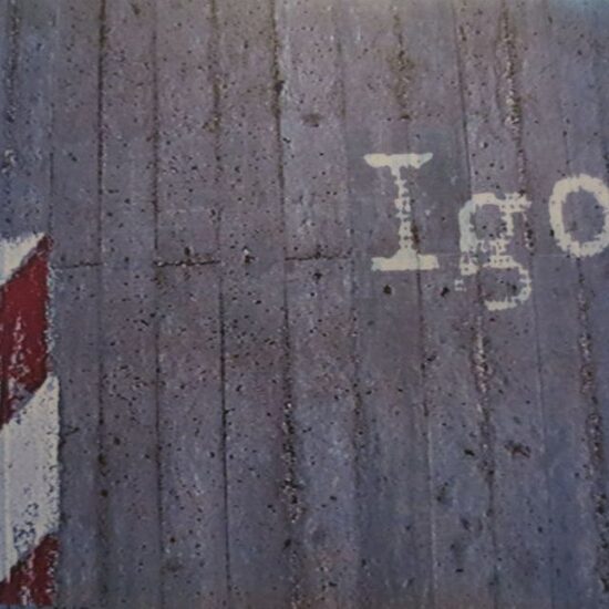 Igo – Mirkļa Liecinieks (CD)