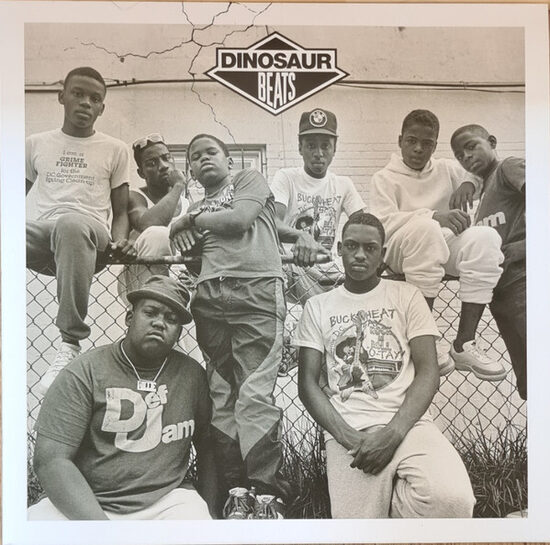 Various – Dinosaur Beats