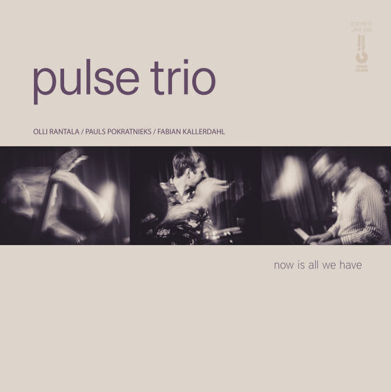 pulse trio – now is all we have