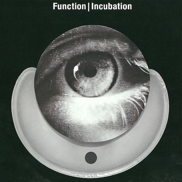 Function – Incubation